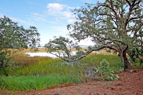 118 Scott Street Charleston SC 29492