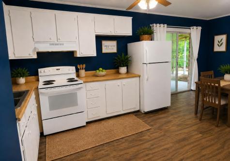 123 Jean Wells Drive Goose Creek SC 29445