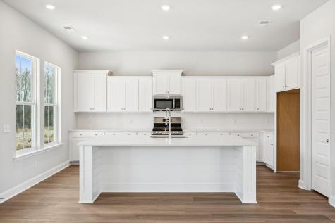 185 Threaded Fern Street Summerville SC 29485