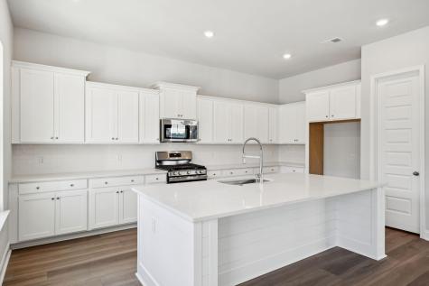 185 Threaded Fern Street Summerville SC 29485