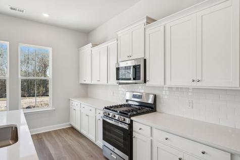 185 Threaded Fern Street Summerville SC 29485