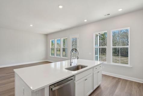 185 Threaded Fern Street Summerville SC 29485