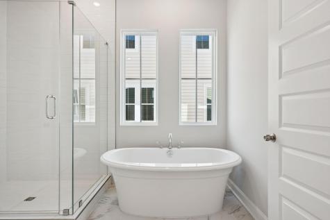 185 Threaded Fern Street Summerville SC 29485