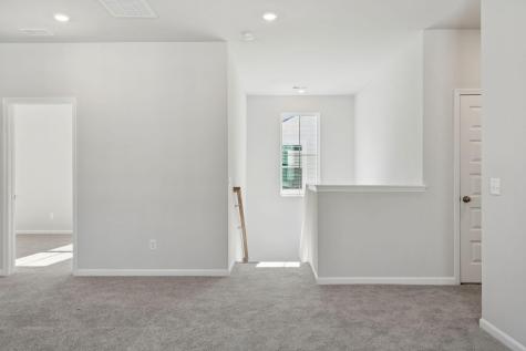 185 Threaded Fern Street Summerville SC 29485