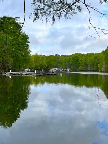 121 Ballard Lane Santee SC 29142