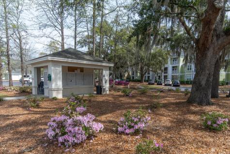 2333 Chatelain Way Mount Pleasant SC 29464