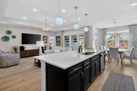 334 Autumn Azalea Way Summerville SC 29486
