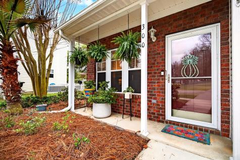 300 Yellow Hawthorn Circle Summerville SC 29483
