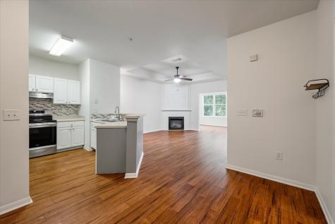 60 Fenwick Hall Alley Johns Island SC 29455