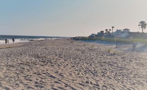 60 Rice Lane Edisto Beach SC 29438