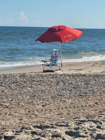 60 Rice Lane Edisto Beach SC 29438