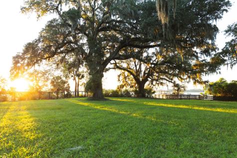 132 Etta Way Daniel Island SC 29492