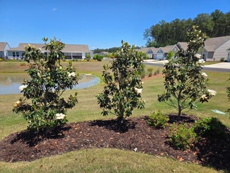 241 Garden Gate Way Summerville SC 29486