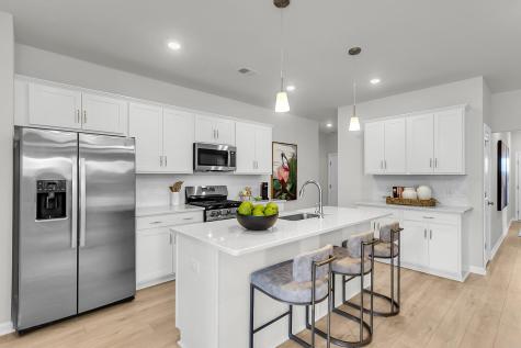 295 O'leary Circle Summerville SC 29483