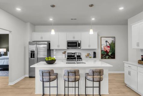 295 O'leary Circle Summerville SC 29483