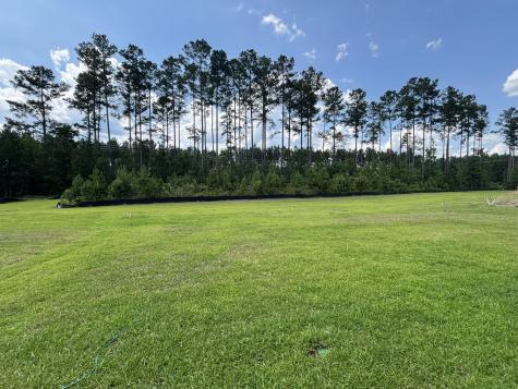 120 Sea Oats Street Summerville SC 29485
