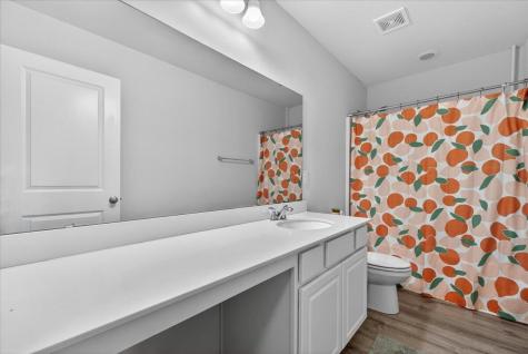 107 Oldenburg Drive Summerville SC 29486