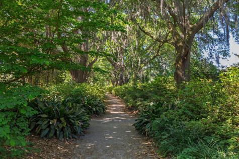 21 Cleveland Street Charleston SC 29403