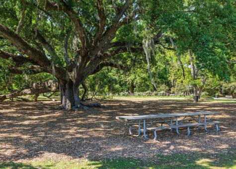 21 Cleveland Street Charleston SC 29403