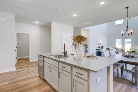 5370 Crinum Lilly Summerville SC 29485