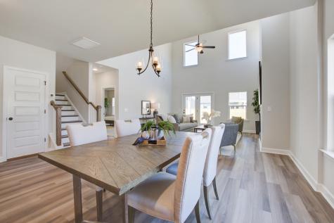 5370 Crinum Lilly Summerville SC 29485