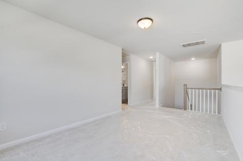 5370 Crinum Lilly Summerville SC 29485