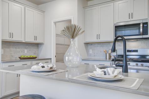 5370 Crinum Lilly Summerville SC 29485