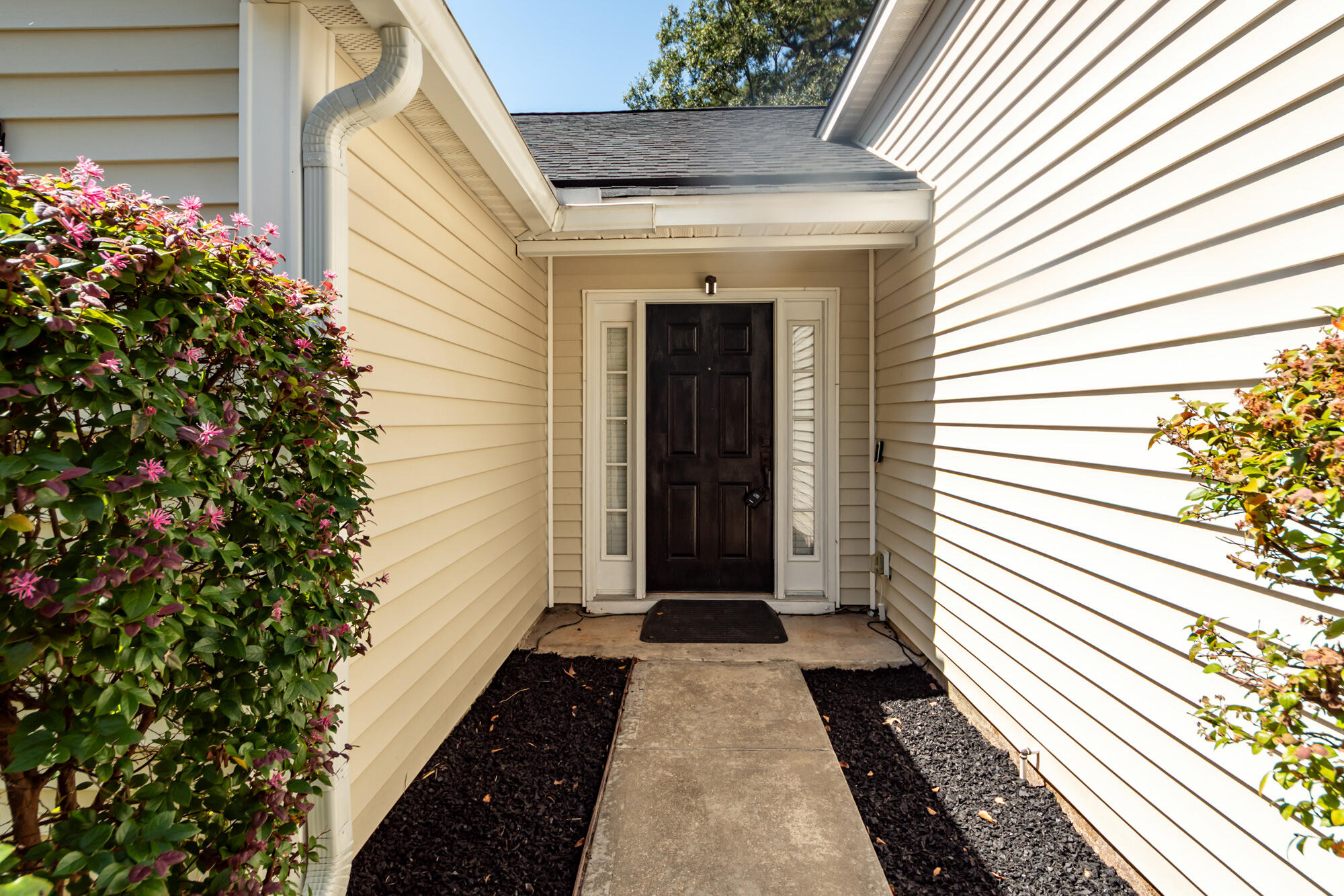 9017 Greenbriar Drive Summerville SC 29485