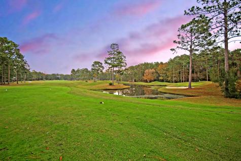 1016 Maidstone Drive Summerville SC 29483