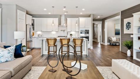 131 Collared Dove Court Summerville SC 29483