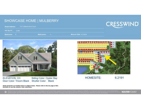 131 Collared Dove Court Summerville SC 29483
