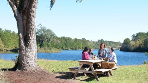 131 Collared Dove Court Summerville SC 29483