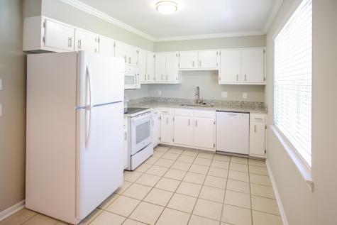 202 Gippy Drive Summerville SC 29486