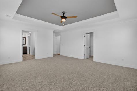 277 Fiddleback Drive Summerville SC 29486