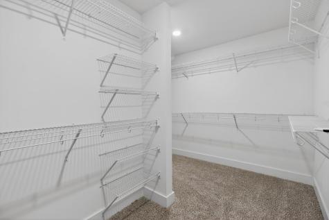 277 Fiddleback Drive Summerville SC 29486