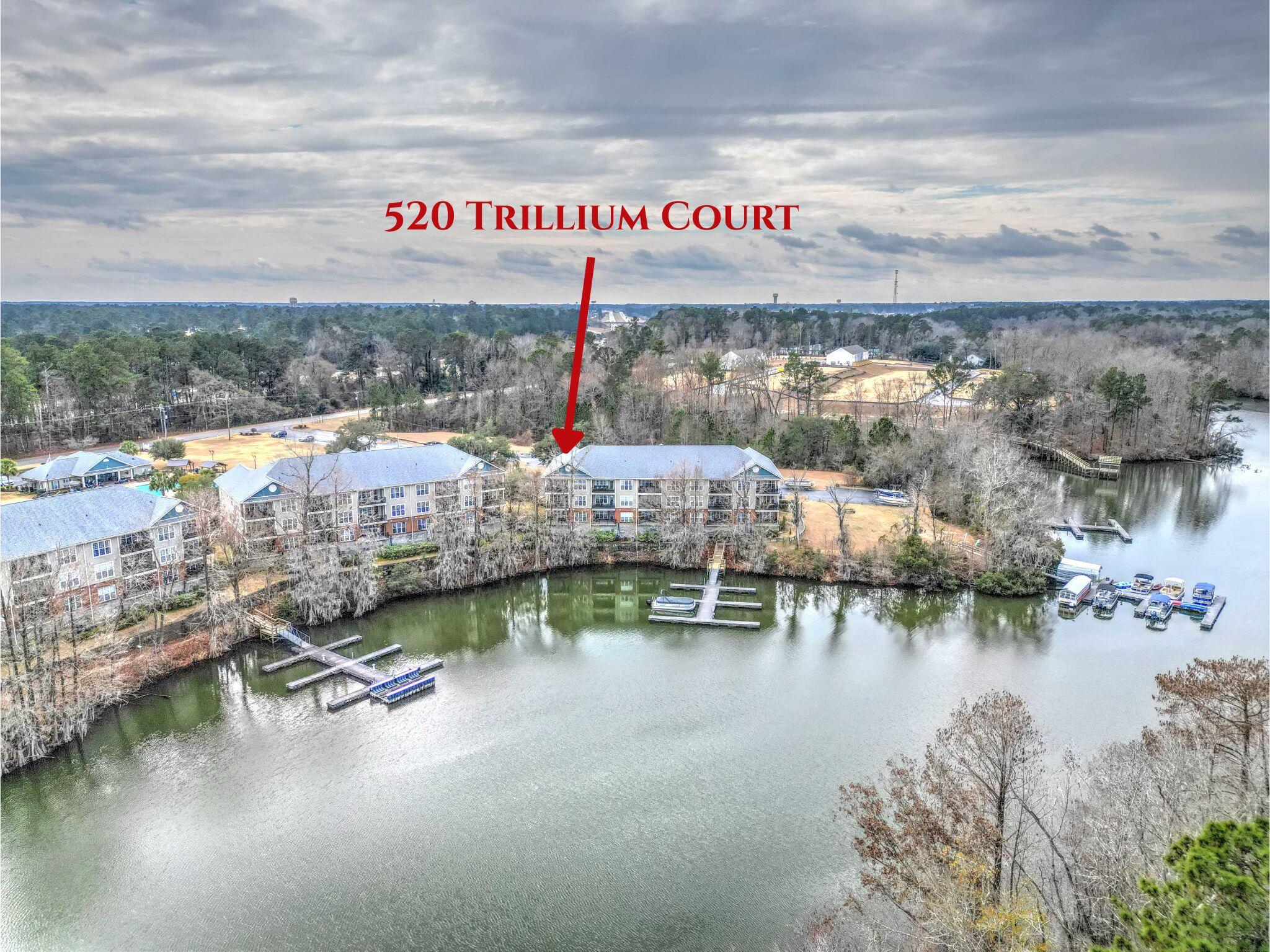 520 Trillium Court Santee SC 29142