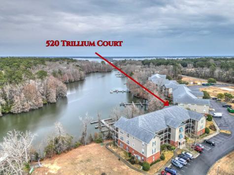 520 Trillium Court Santee SC 29142