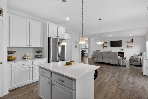 428 Avocet Drive Summerville SC 29486