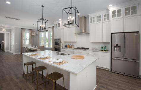 211 Threaded Fern Street Summerville SC 29485