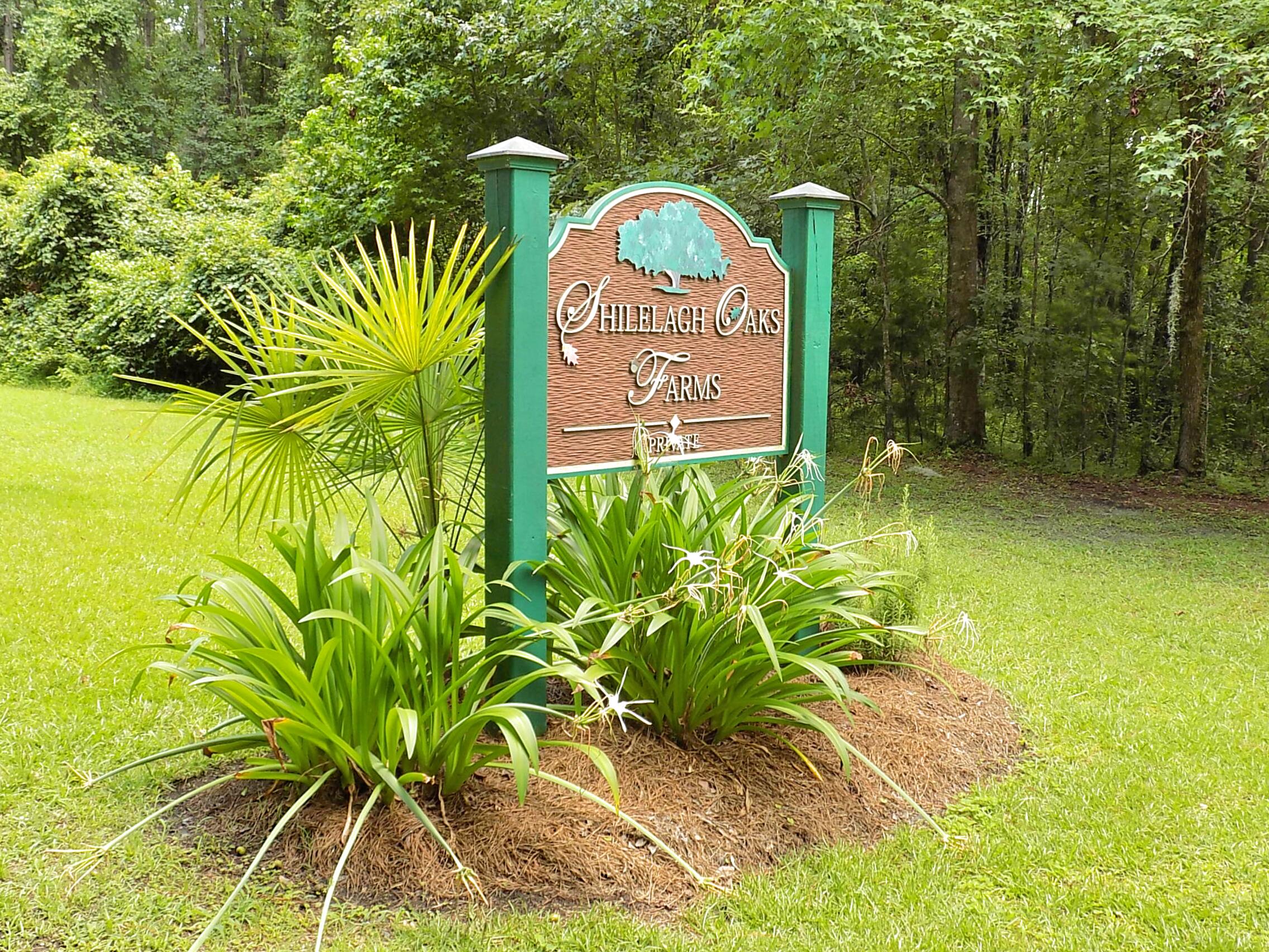 6370 Shilelagh Oaks Parkway Ravenel SC 29470