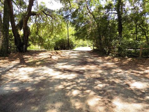 6370 Shilelagh Oaks Parkway Ravenel SC 29470