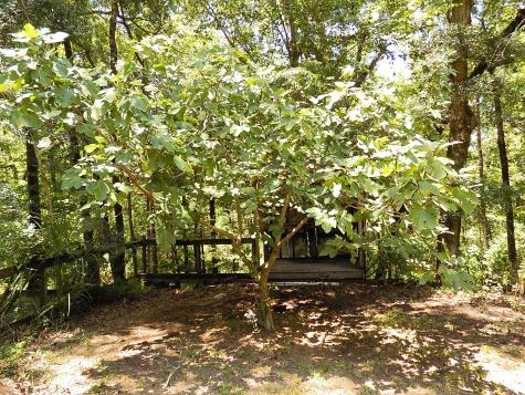 6370 Shilelagh Oaks Parkway Ravenel SC 29470
