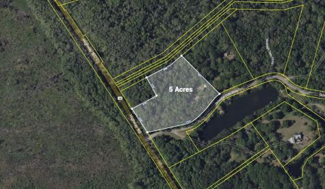 6370 Shilelagh Oaks Parkway Ravenel SC 29470