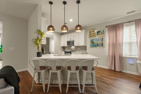 2952 Needlegrass Drive Beaufort SC 29902