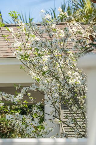 164 River Green Place Charleston SC 29492