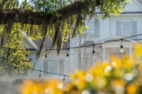 164 River Green Place Charleston SC 29492