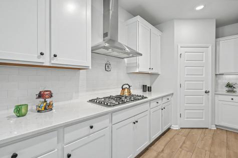 1152 Kane Blue Run Summerville SC 29485