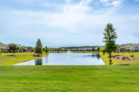 449 Switchgrass Drive Summerville SC 29486