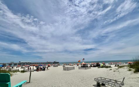 106 W Arctic Avenue Folly Beach SC 29439