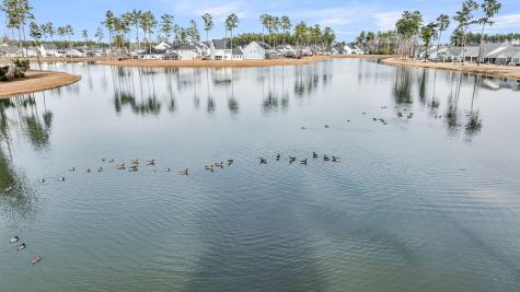 327 Tupelo Lake Drive Summerville SC 29486